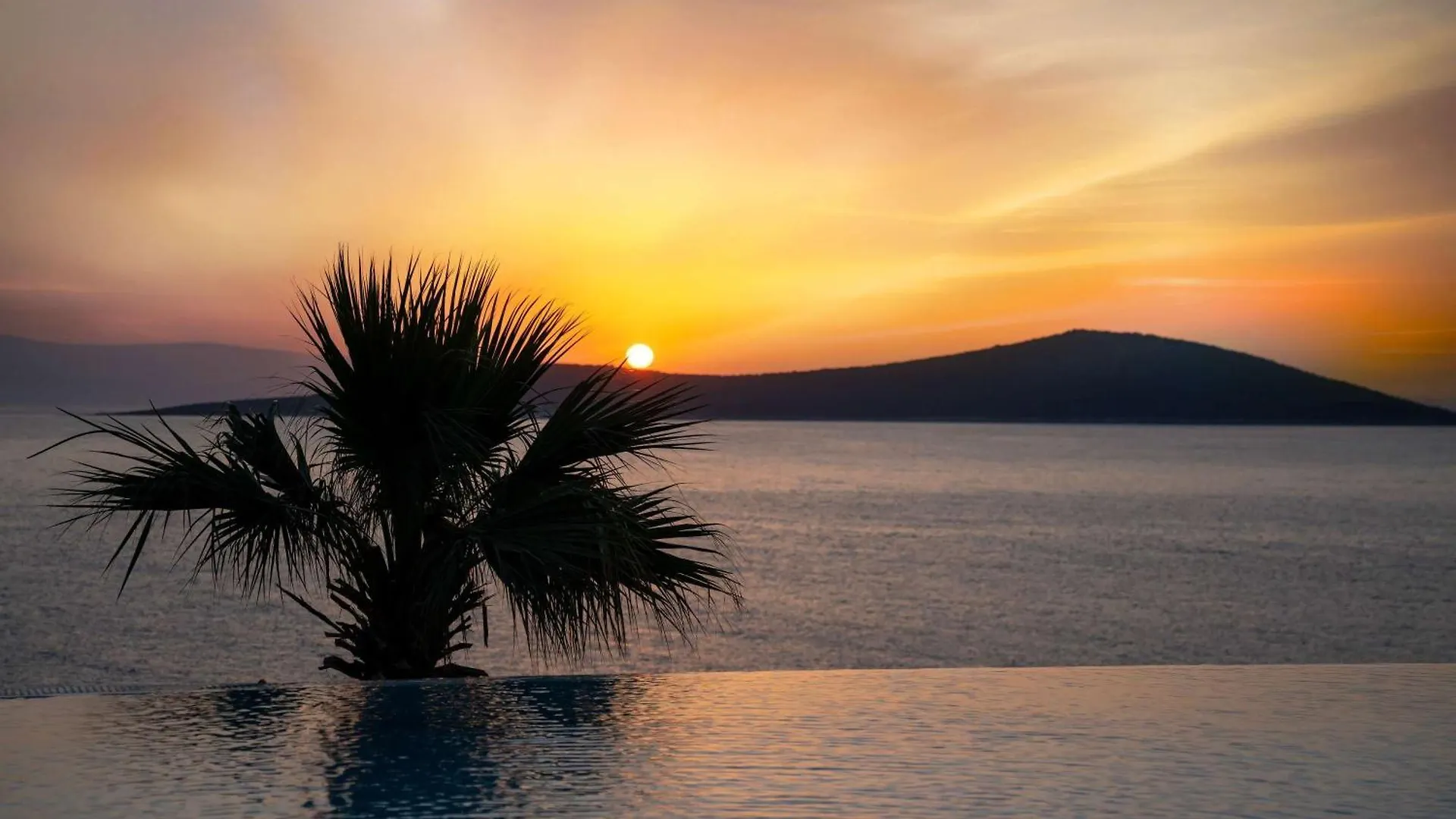 ***** فندق Swissotel Living بودروم تركيا